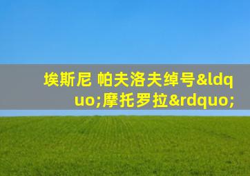 埃斯尼 帕夫洛夫绰号“摩托罗拉”